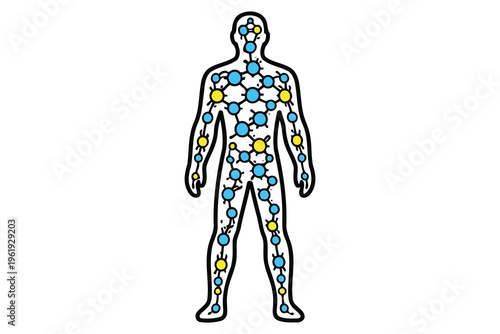 A conceptual illustration of a human silhouette filled with interconnected blue and yellow atoms Vector