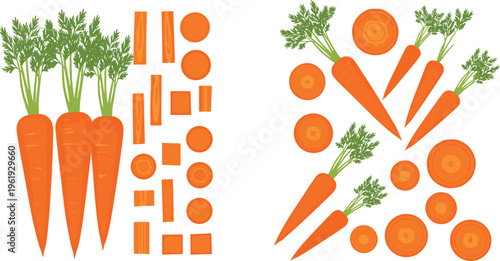 Carrot vegetable collection with whole, sliced and chopped pieces, fresh organic food set for cooking, healthy nutrition illustration and vector design