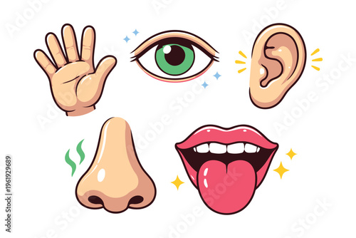 A colorful educational illustration depicting the five human senses including sight and hearing Vector