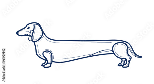 Minimalist vector illustration of a Dachshund with elongated body, drawn in doodle style using bold blue outlines and fine internal line accents, elegant flowing linework, modern abstract simplificati