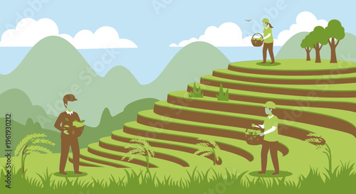 Farmers working on rice terraces field.