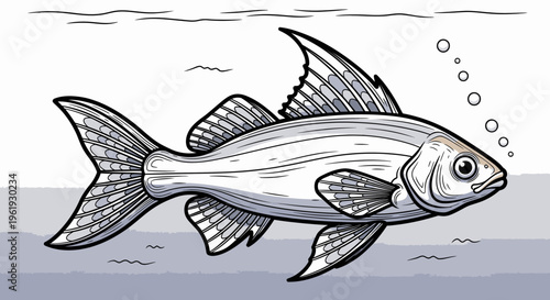 Fish swimming in the water column.