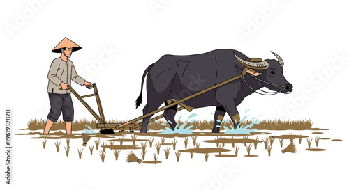 Man plowing field with black ox.