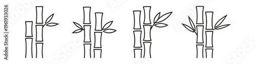 Set of simple line art bamboo stalks with leaves in black and white