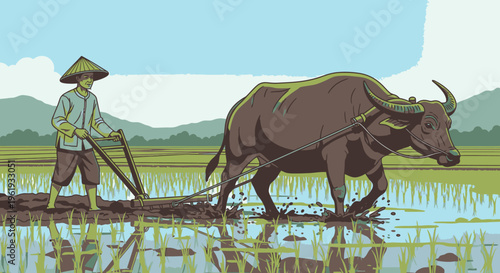 Man plowing field with brown oxen 6.