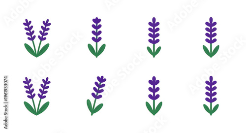 lavender, flowers, flower, plant, herb, floral, botanical, botany, nature, natural, purple, violet, aroma, aromatic, fragrance, scent, spa, relax, relaxation, calm, wellness, organic, essential, oil, 