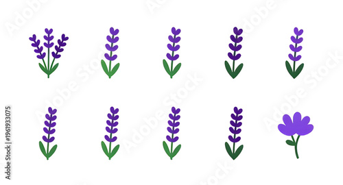 flower, lavender, flowers, plant, herb, floral, botanical, botany, nature, natural, purple, violet, aroma, aromatic, fragrance, scent, spa, relax, relaxation, calm, wellness, organic, essential, oil, 