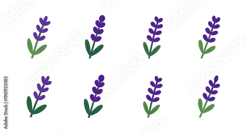 flower, lavender, flowers, plant, herb, floral, botanical, botany, nature, natural, purple, violet, aroma, aromatic, fragrance, scent, spa, relax, relaxation, calm, wellness, organic, essential, oil, 
