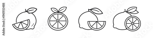 Set of simple line art icons featuring lemons and lime slices with leaves
