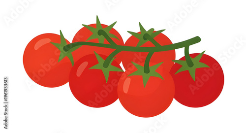 tomato, branch, tomatoes, vine, plant, food, vegetable, vegetables, fresh, organic, natural, healthy, nutrition, red, ripe, juicy, garden, farming, agriculture, farm, harvest, produce, ingredient, coo