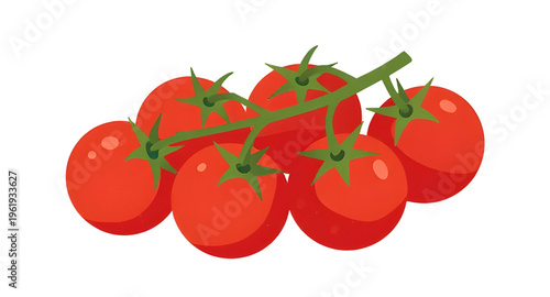 tomatoes, tomato, branch, vine, plant, food, vegetable, vegetables, fresh, organic, natural, healthy, nutrition, red, ripe, juicy, garden, farming, agriculture, farm, harvest, produce, ingredient, coo