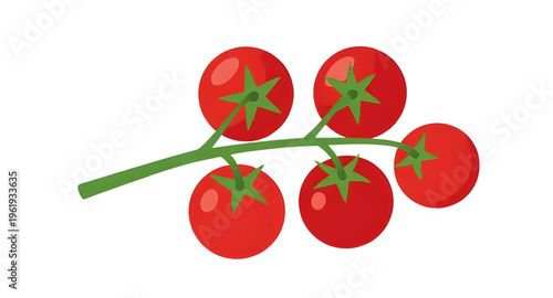 tomatoes, tomato, branch, vine, plant, food, vegetable, vegetables, fresh, organic, natural, healthy, nutrition, red, ripe, juicy, garden, farming, agriculture, farm, harvest, produce, ingredient, coo