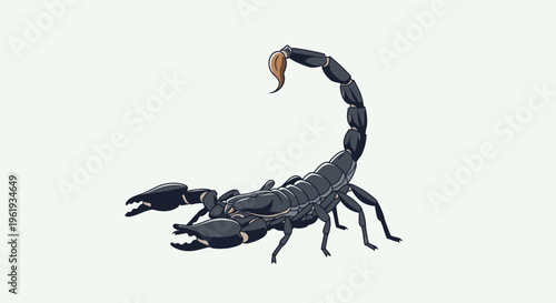 Scorpion isolated on white background 1.