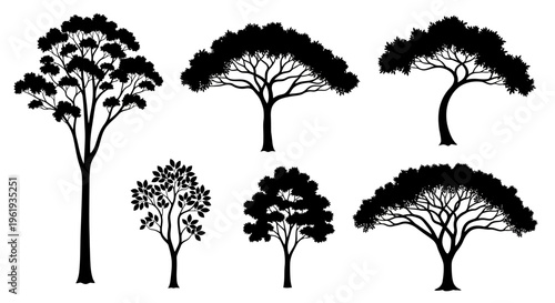 Set of Six Black Tree Silhouettes, Various Species, Isolated on White