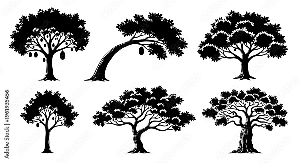 Fototapeta premium Set of Six Silhouette Trees with Fruits, Vector Graphics