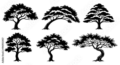 Set of Six Silhouette Bonsai Trees Black and White Vector Graphics