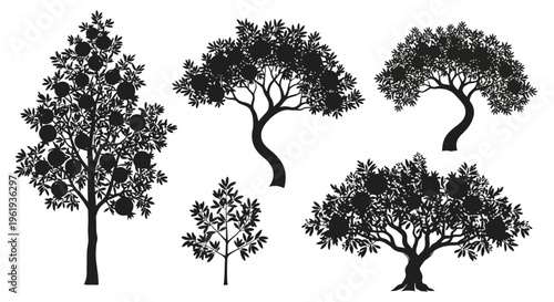Set of Silhouette Fruit Trees with Ripe Fruits, Black and White Vector Graphics