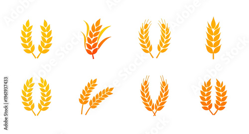wheat, grain, ears, ear, cereal, crop, agriculture, farming, farm, harvest, barley, rye, food, bread, bakery, flour, plant, nature, natural, organic, field, rural, countryside, golden, yellow, spike, 