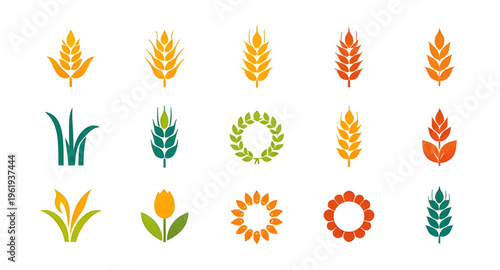 ears, wheat, ear, grain, cereal, crop, agriculture, farming, farm, harvest, barley, rye, food, bread, bakery, flour, plant, nature, natural, organic, field, rural, countryside, golden, yellow, spike, 