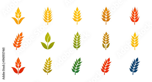 ears, wheat, ear, grain, cereal, crop, agriculture, farming, farm, harvest, barley, rye, food, bread, bakery, flour, plant, nature, natural, organic, field, rural, countryside, golden, yellow, spike, 