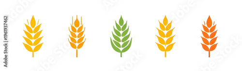 wheat, ear, ears, grain, cereal, crop, agriculture, farming, farm, harvest, barley, rye, food, bread, bakery, flour, plant, nature, natural, organic, field, rural, countryside, golden, yellow, spike, 