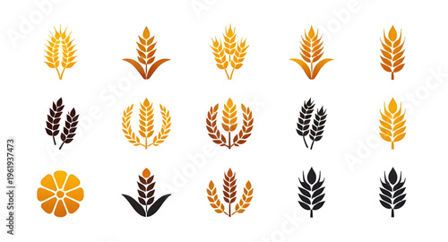wheat, ear, ears, grain, cereal, crop, agriculture, farming, farm, harvest, barley, rye, food, bread, bakery, flour, plant, nature, natural, organic, field, rural, countryside, golden, yellow, spike, 