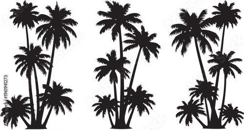 Black Silhouette of Palm Trees on White Background