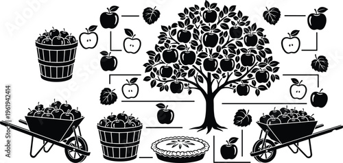 Apple tree illustration, harvest baskets, wheelbarrow with apples, apple pie design, fruit process artwork, cad drawing flat vector illustration