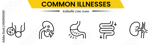 Common Illnesses line icons set. Common Illnesses outline icons with editable stroke collection. These Includes Breast Cancer, Depression, Brain Tumor, Allergy, Diabetes, and More.