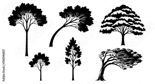 Silhouette Tree Collection: Various Styles and Shapes