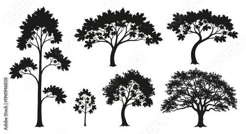 Silhouette Tree Collection: Various Styles and Sizes