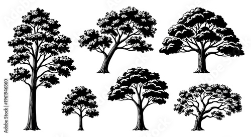 Set of Six Silhouette Trees, Vector Illustration, Black and White Nature Elements