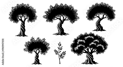 Set of stylized ancient olive trees silhouettes, graphic design elements