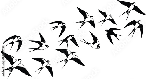 Swallow bird silhouette collection vector illustration, flying bird icon design, freedom nature artwork, seasonal migration concept - flat vector illustration