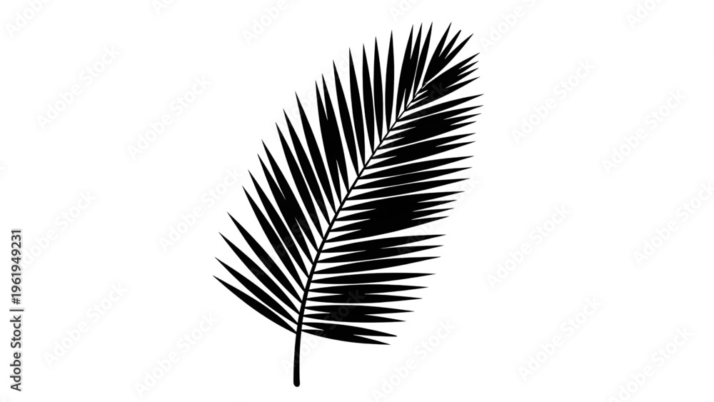 Fototapeta premium Black palm leaf silhouette on white background