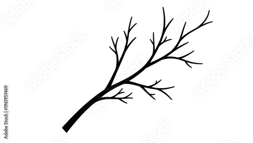 Black silhouette of bare tree branch on white background