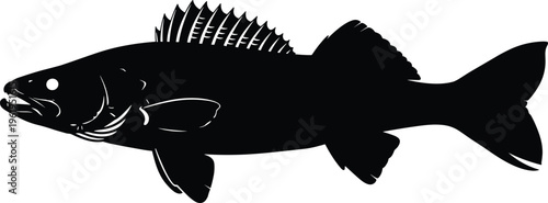 Black fish silhouette illustration featuring predatory freshwater species with dorsal fin, forked tail, gills, open mouth, detailed vector aquatic design artwork