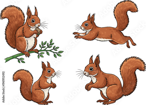 Cartoon squirrel illustration collection featuring four playful poses with nut eating, jumping, sitting upright, standing alert, bushy tail vector design