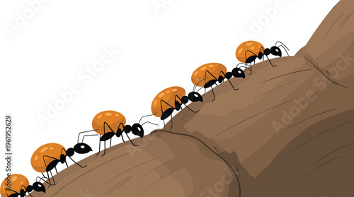 Ants, teamwork, carrying, food, cooperation, unity, strength, collaboration, insect, nature, hard work, persistence, motivation, success, colony, effort, discipline, teamwork concept, determination,