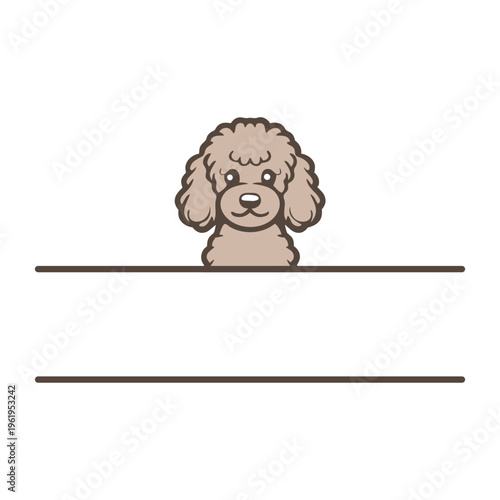 A cute cartoon poodle peeking over a line on a white background