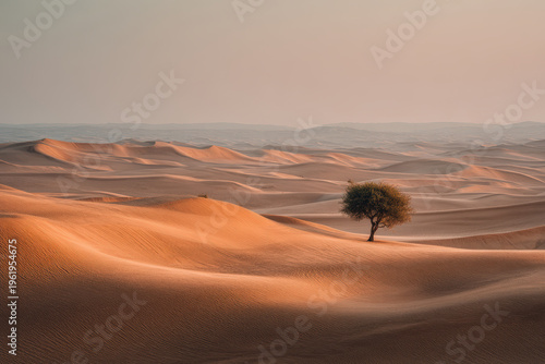 stunning american bridge adorned with ultrabright christmas lights reflects beautifully in water creating magical