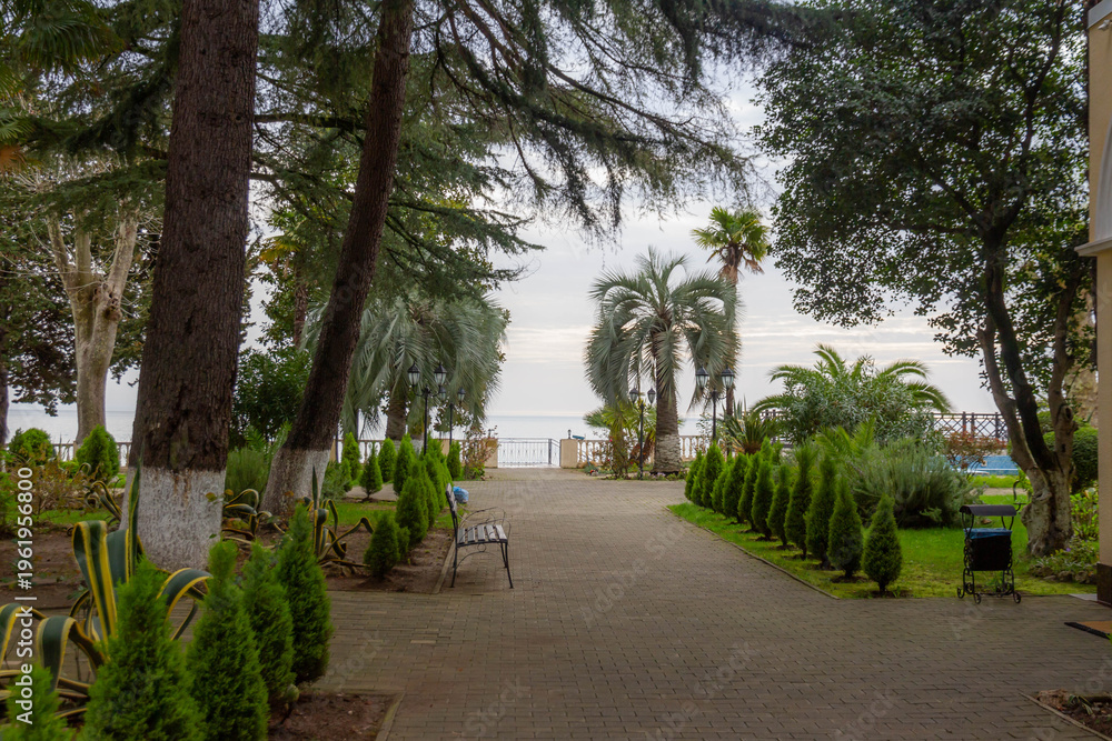 Fototapeta premium Paved alley in seaside park with varied green trees and palm plants leading to Black Sea. View of coastal garden with bench and balustrade. Gagra, Abkhazia, Caucasus.