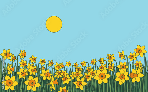 A vibrant daffodil field basks in golden Easter light. A cheerful scene of blooming daffodils creates a bright, idyllic backdrop. Perfect for spring, nature, or Easter themes.