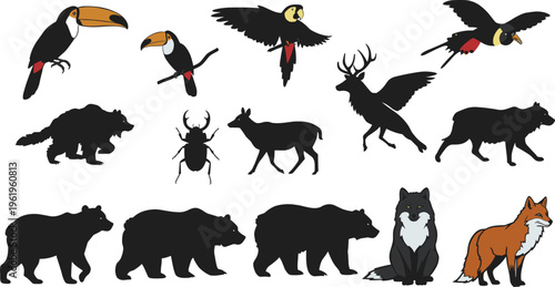 Wild animal silhouettes and colorful illustrations, toucan birds, deer, wolves, bears, fox, insect, wildlife vector design set