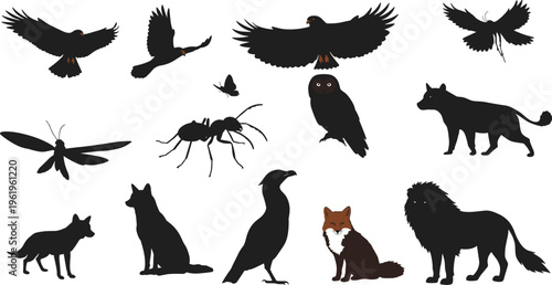 Wild animal silhouettes collection, flying birds, insects, wolves, lion, fox, owl, vector illustration isolated design