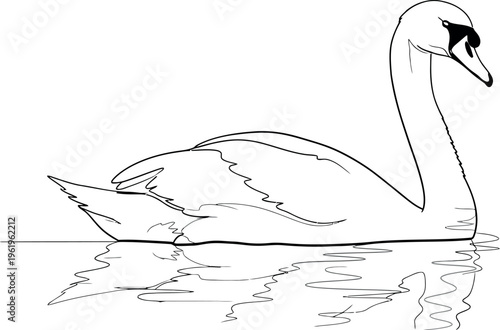 This minimalist black and white line art illustration features a beautiful, graceful swan swimming serenely on calm water, perfectly reflecting its elegant silhouette below.