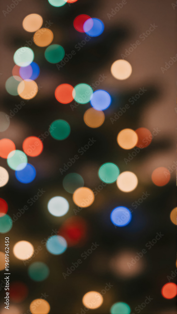 Obraz premium Festive Christmas Light Portrait