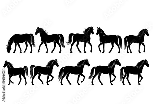 Elegant horse silhouette vector collection with different poses and breeds isolated on white background