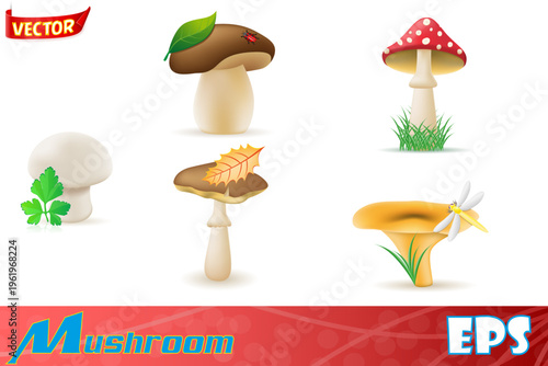 set icons natural forest mushrooms cartoon stock vector illustration