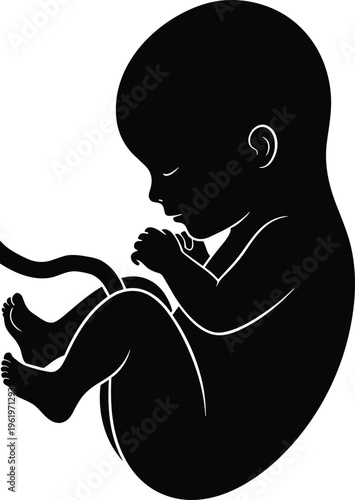 Fetus silhouette illustration, prenatal development icon showing curled position with umbilical cord representing medical anatomy theme - flat vector illustration